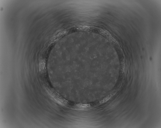 X0000085040711200703261312