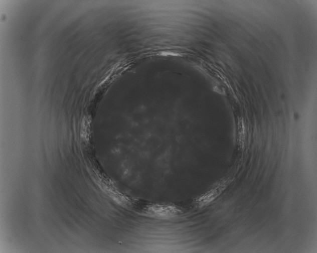 X0000085040712200703261312