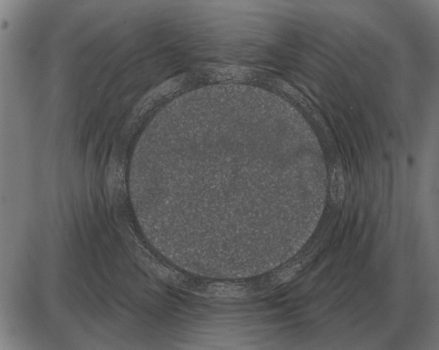 X0000085040714200703261312