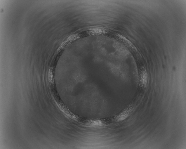 X0000085040715200703261312