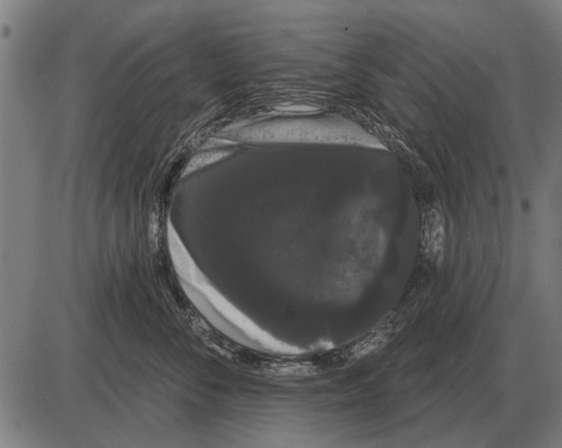 X0000085040716200703261312