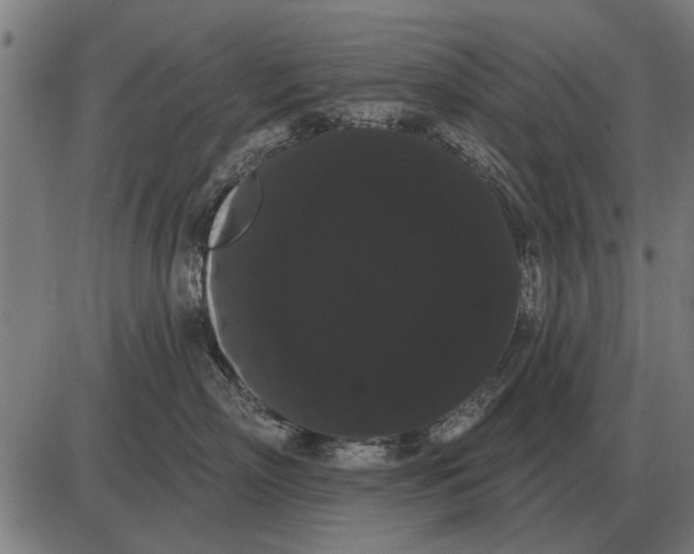 X0000085040718200703261312