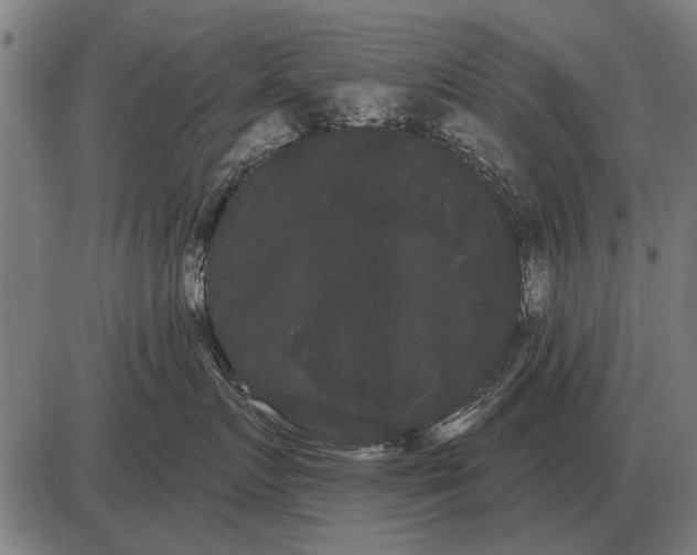 X0000085040719200703261312