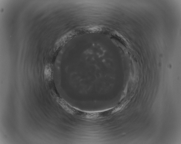 X0000085040720200703261312