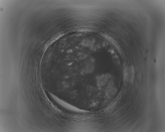 X0000085040721200703261311