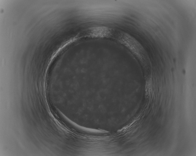 X0000085040722200703261311