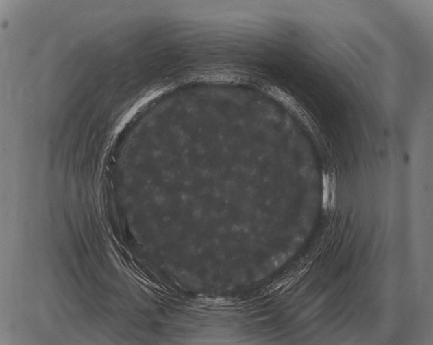 X0000085040723200703261311