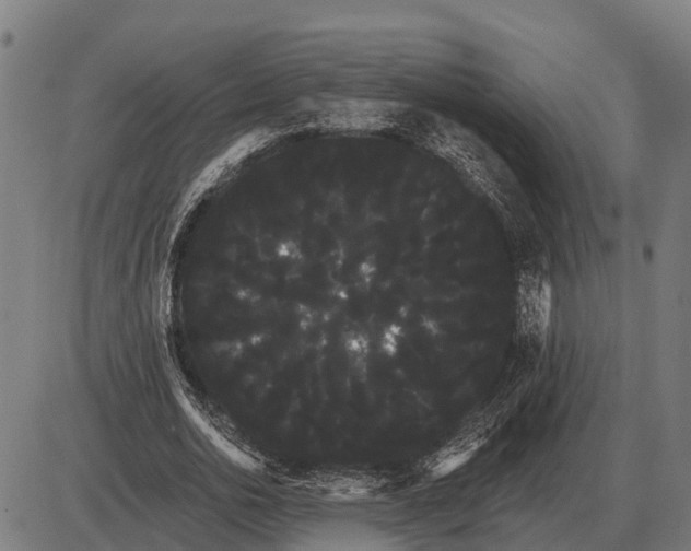 X0000085040726200703261311