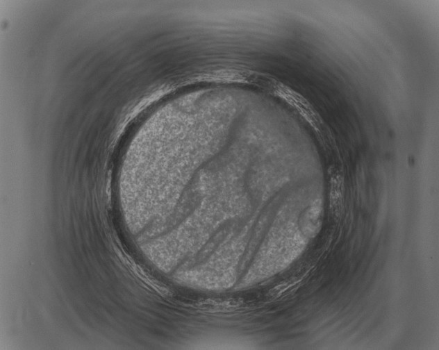 X0000085040727200703261311