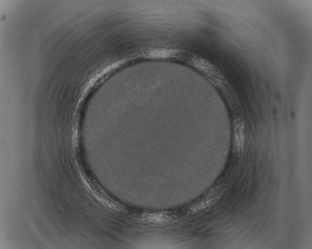 X0000085040728200703261311