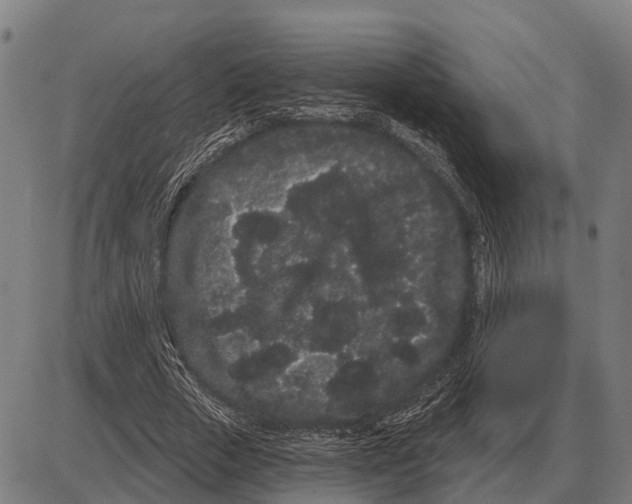 X0000085040729200703261311