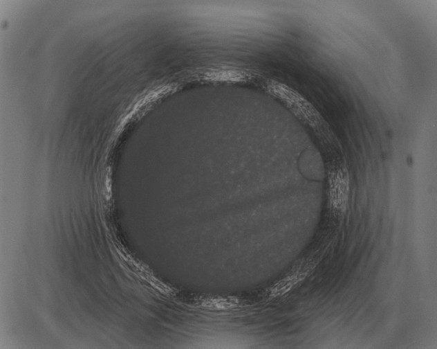 X0000085040731200703261311