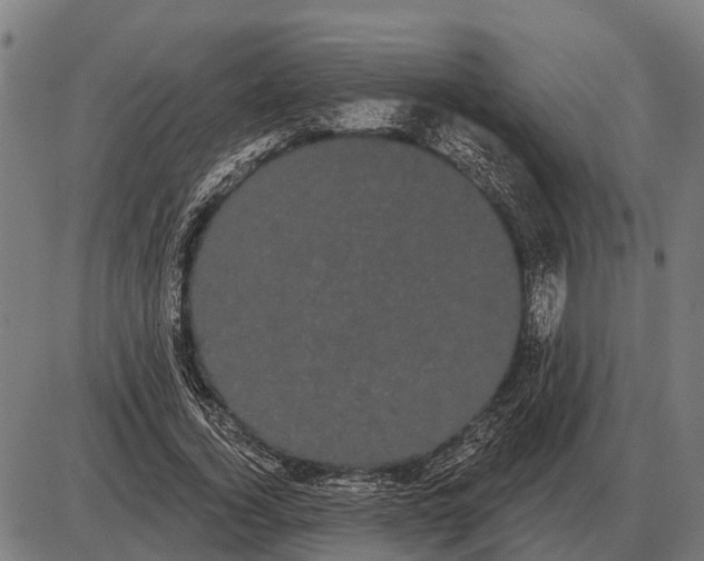 X0000085040732200703261311