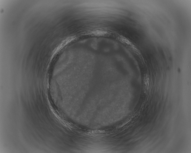 X0000085040734200703261311