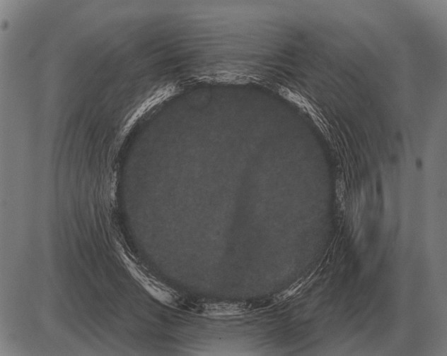 X0000085040735200703261311