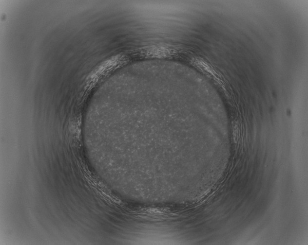 X0000085040737200703261311