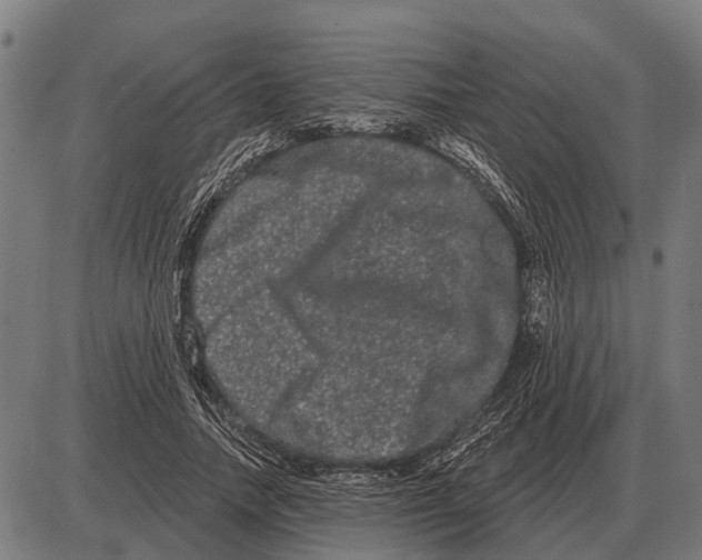 X0000085040738200703261311