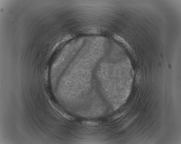 X0000085040739200703261311