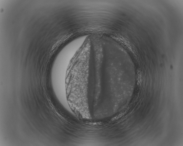 X0000085040740200703261311