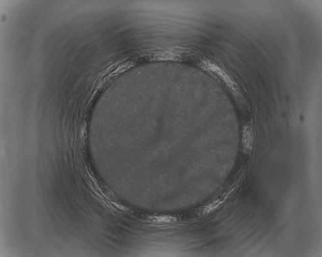 X0000085040741200703261311