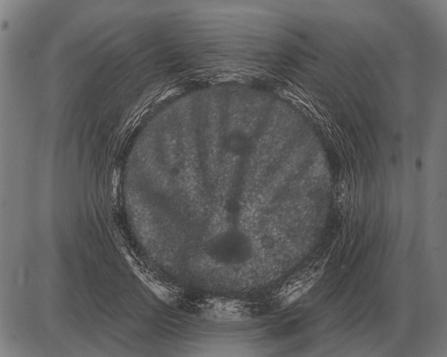 X0000085040742200703261311