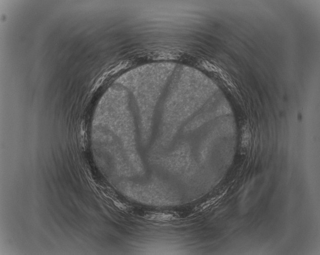 X0000085040743200703261311