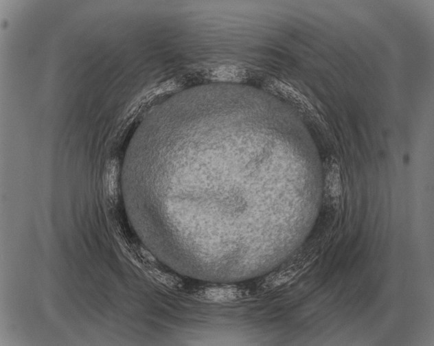 X0000085040744200703261311