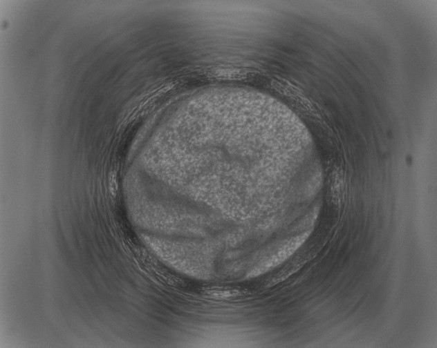 X0000085040746200703261311