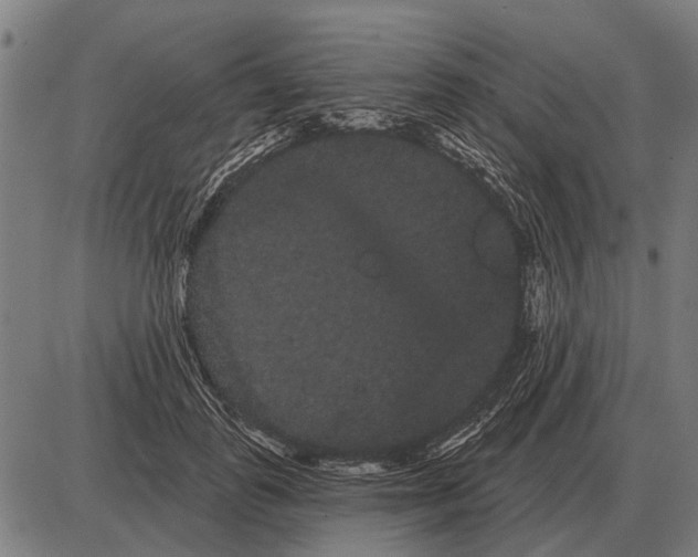 X0000085040747200703261311