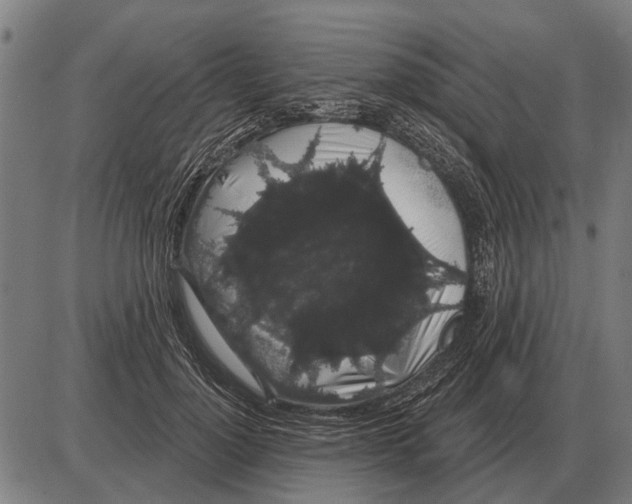 X0000085040748200703261311