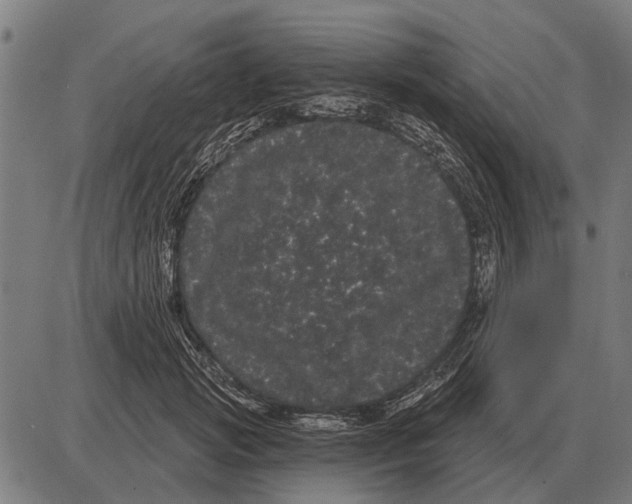 X0000085040749200703261311