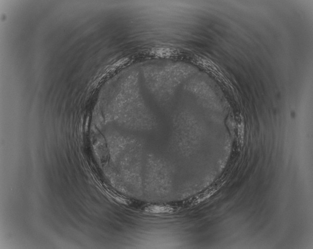 X0000085040750200703261311