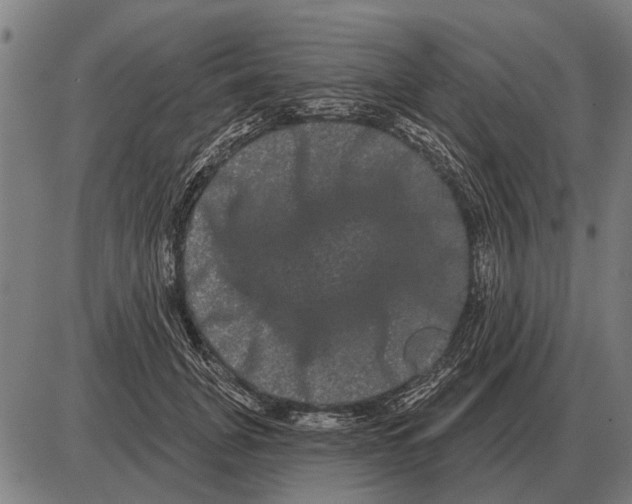 X0000085040751200703261311