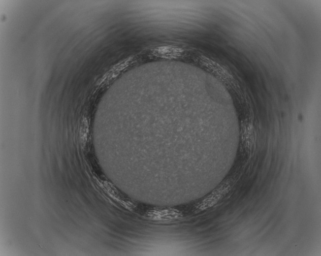 X0000085040752200703261311