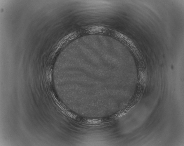 X0000085040753200703261311