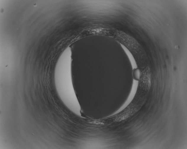 X0000085040754200703261311