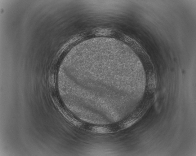 X0000085040755200703261312