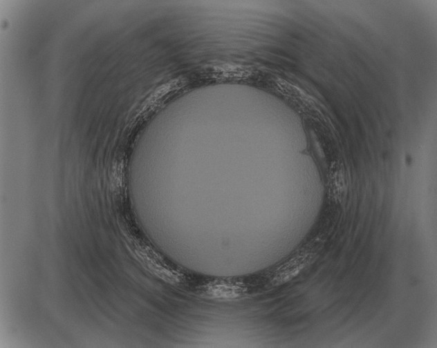 X0000085040756200703261312