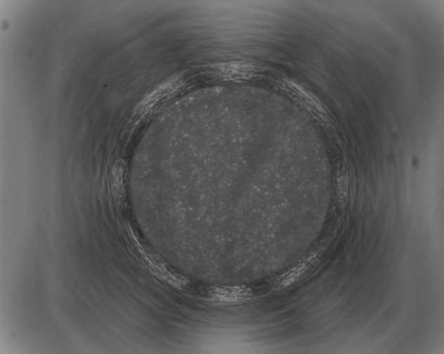 X0000085040757200703261312