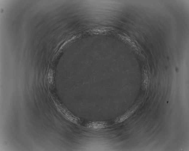 X0000085040758200703261312