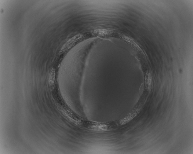 X0000085040760200703261312