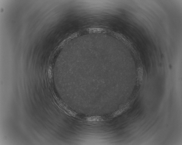 X0000085040761200703261312