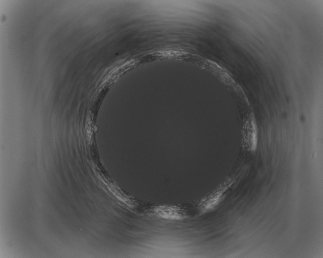 X0000085040762200703261312