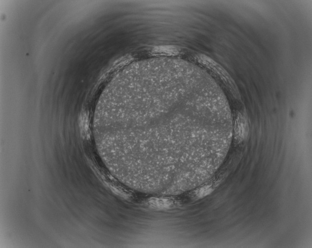 X0000085040764200703261312