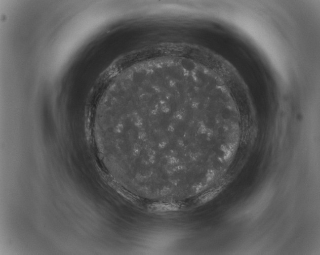 X0000085040765200703261312