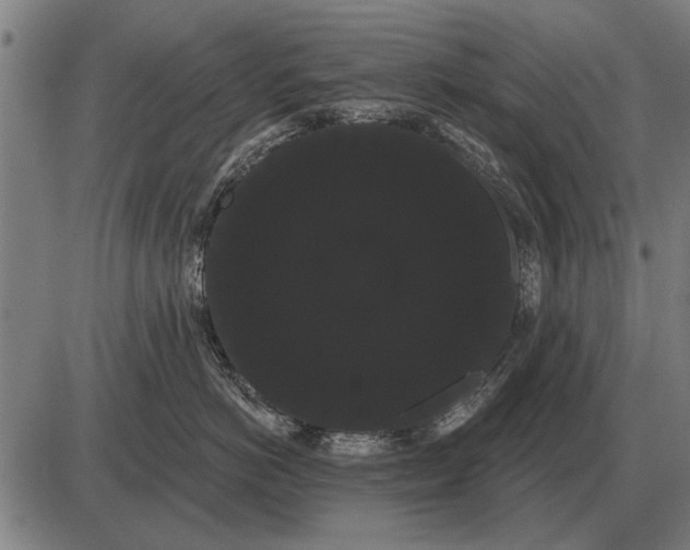 X0000085040766200703261312