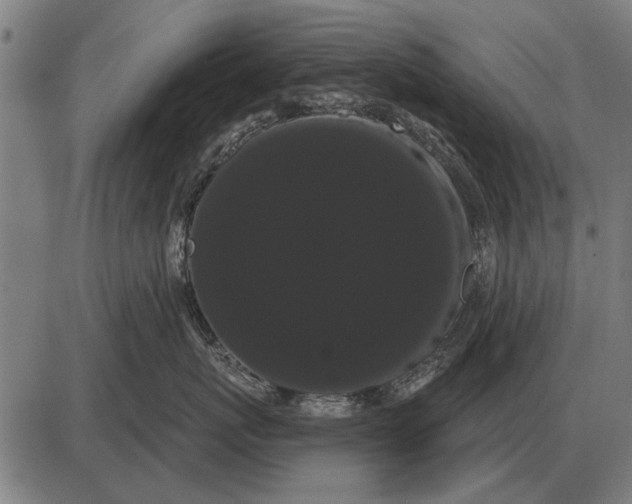 X0000085040767200703261312