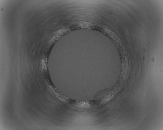 X0000085040768200703261312