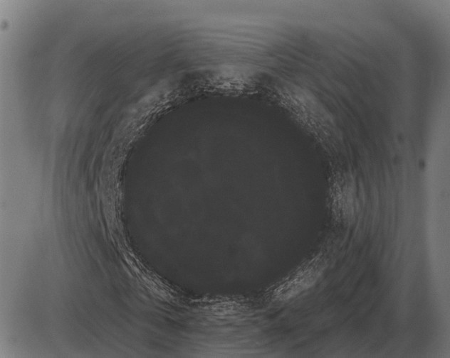 X0000085040769200703261311