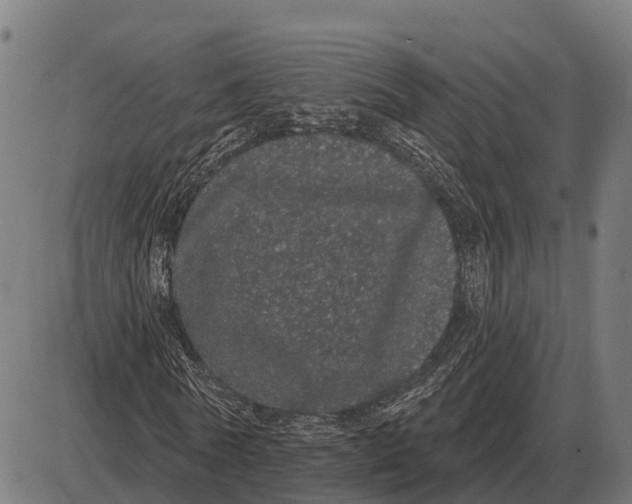 X0000085040770200703261311